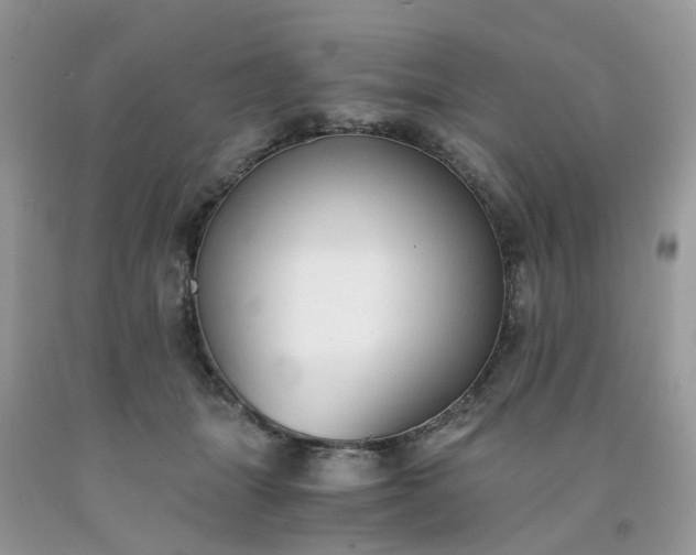X0000091680463200709061108