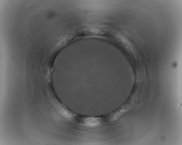 X0000091680465200709061108