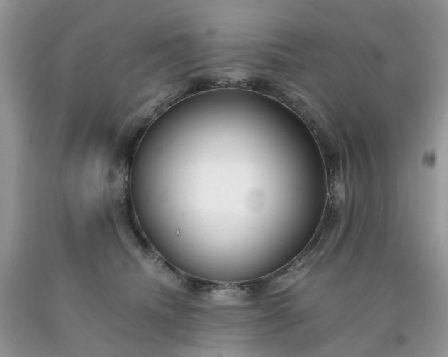 X0000091680468200709061108