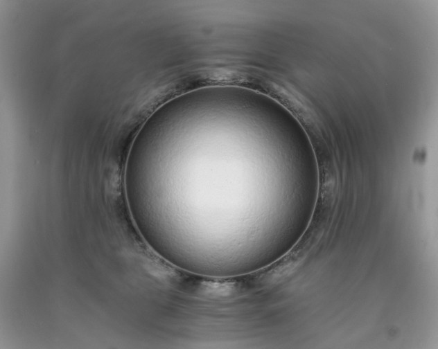 X0000091680469200709061108