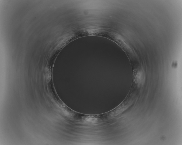 X0000091680471200709061108