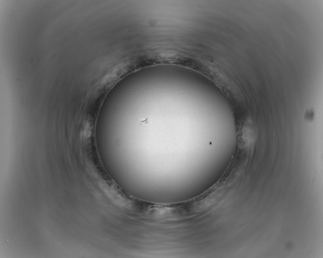 X0000091680472200709061108