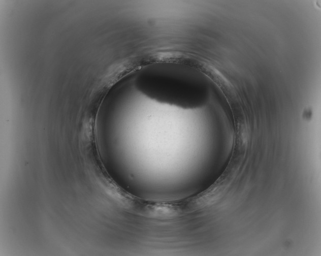 X0000091680475200709061108