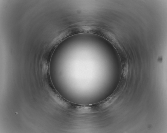 X0000091680476200709061108