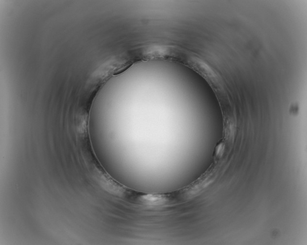 X0000091680477200709061108