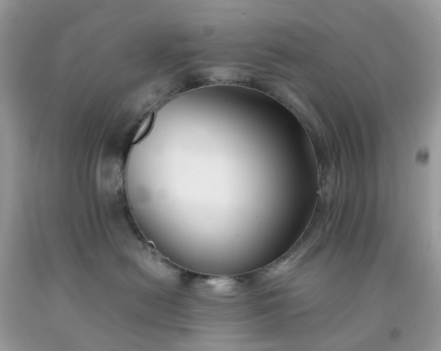X0000091680478200709061108