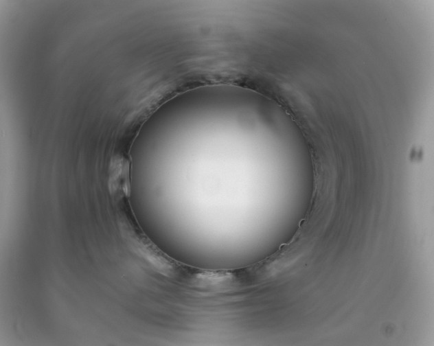 X0000091680480200709061108