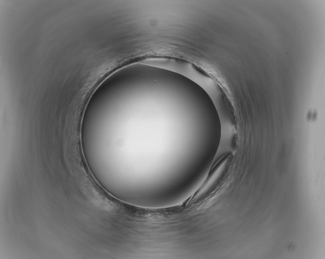 X0000091680481200709061107