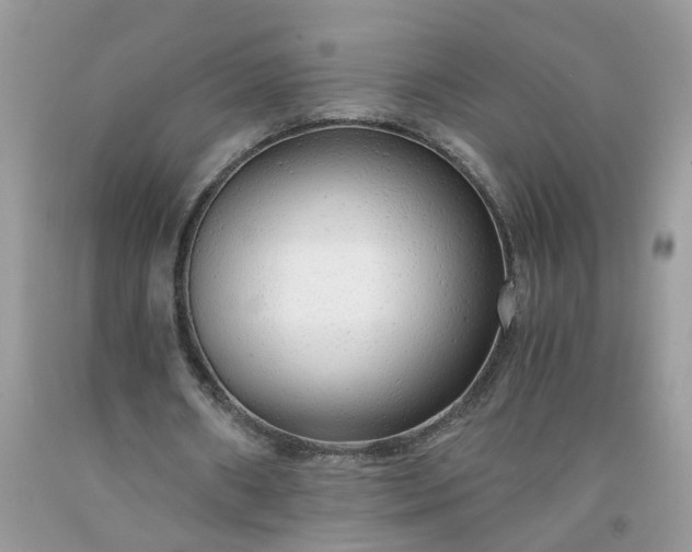 X0000091680482200709061107