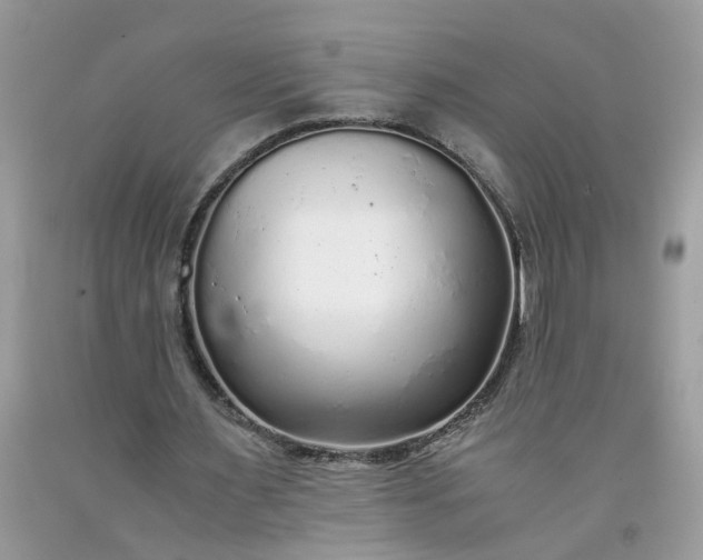 X0000091680483200709061107