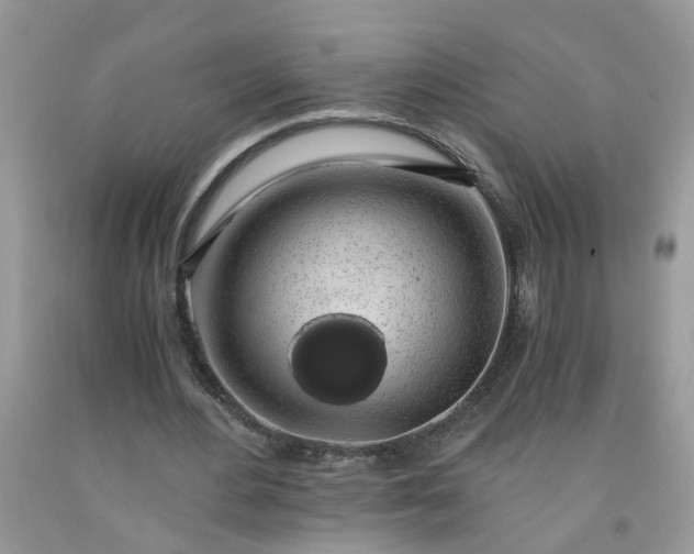 X0000091680484200709061107