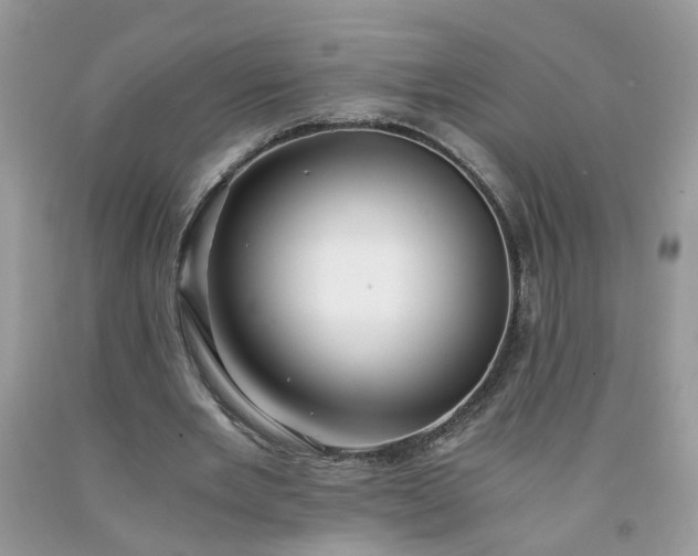 X0000091680485200709061107