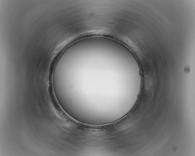 X0000091680486200709061107