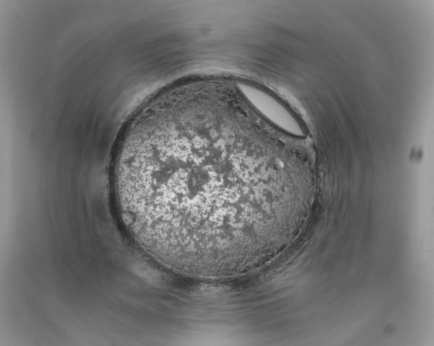 X0000091680487200709061107