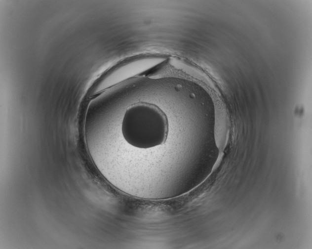 X0000091680488200709061107