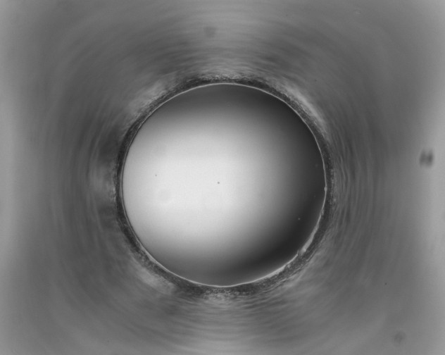 X0000091680489200709061107