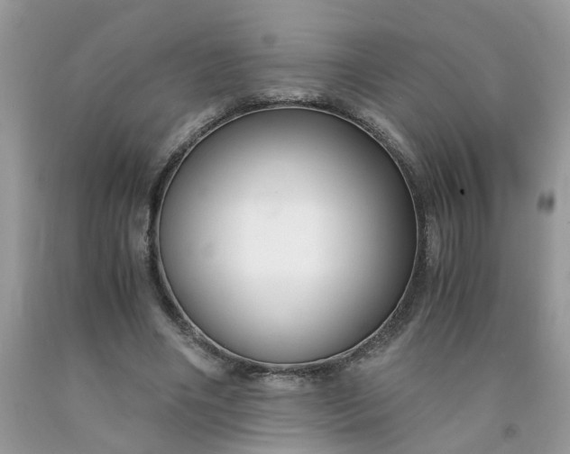 X0000091680490200709061107