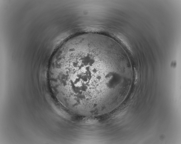 X0000091680491200709061107