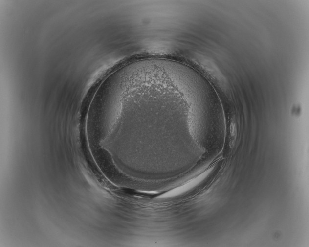 X0000091680492200709061107