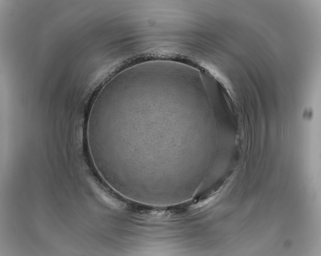 X0000091680493200709061107