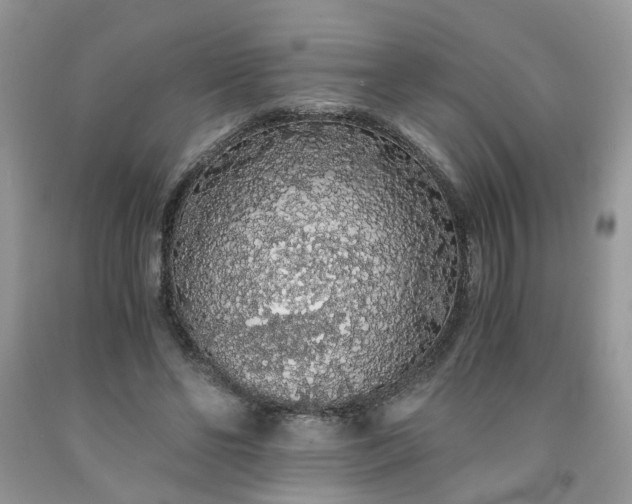 X0000091680494200709061107