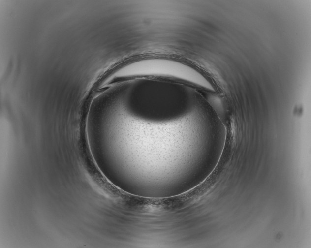 X0000091680496200709061107