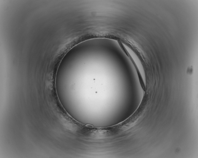 X0000091680497200709061107