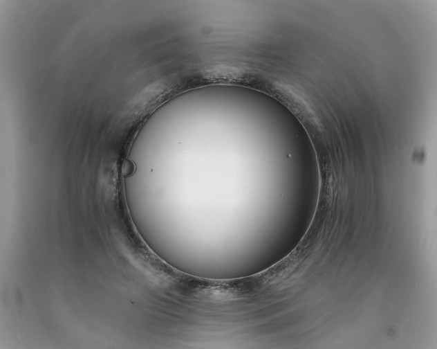 X0000091680498200709061107