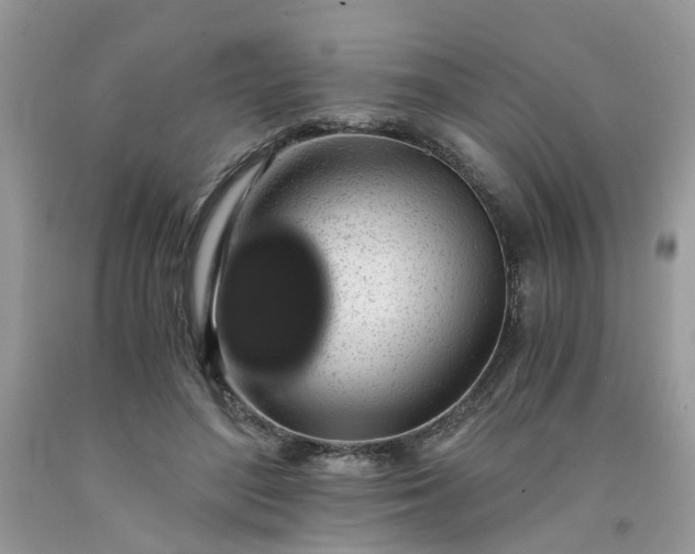 X0000091680500200709061107