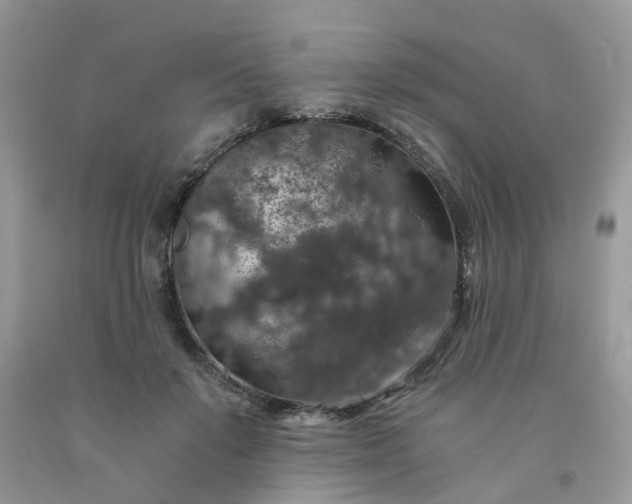X0000091680503200709061107