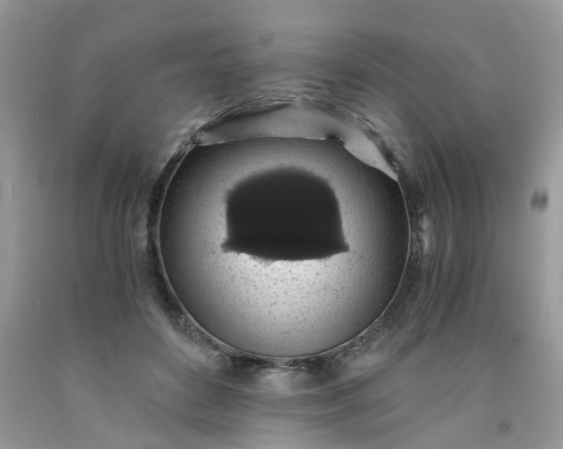 X0000091680504200709061107