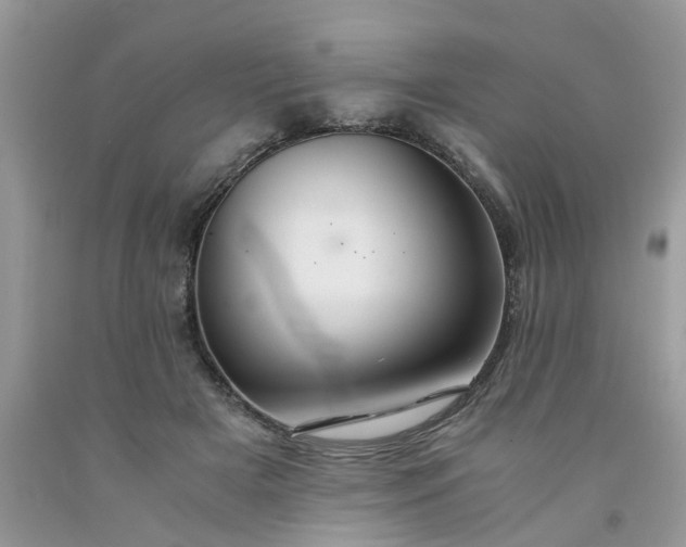 X0000091680505200709061107