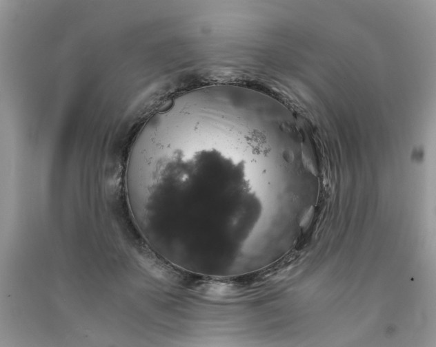 X0000091680507200709061107