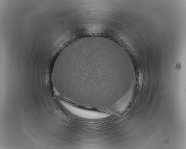 X0000091680508200709061107