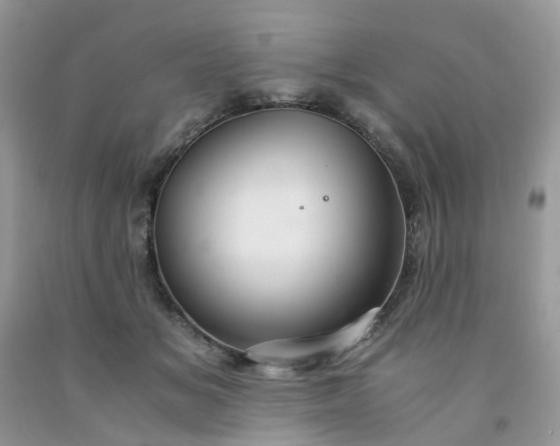 X0000091680509200709061107