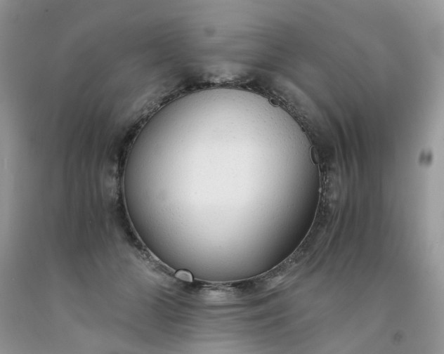 X0000091680510200709061107