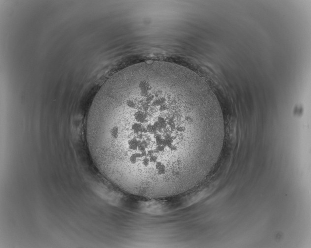 X0000091680511200709061107