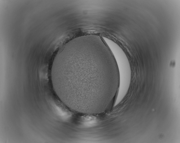 X0000091680512200709061107