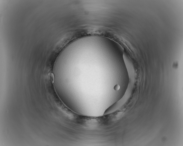 X0000091680513200709061107
