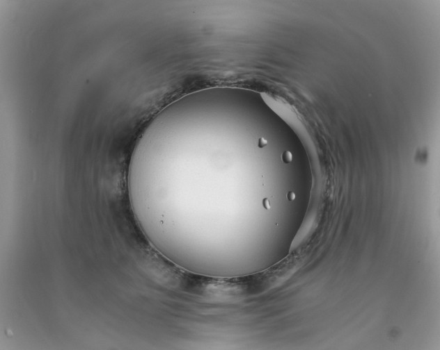 X0000091680515200709061107
