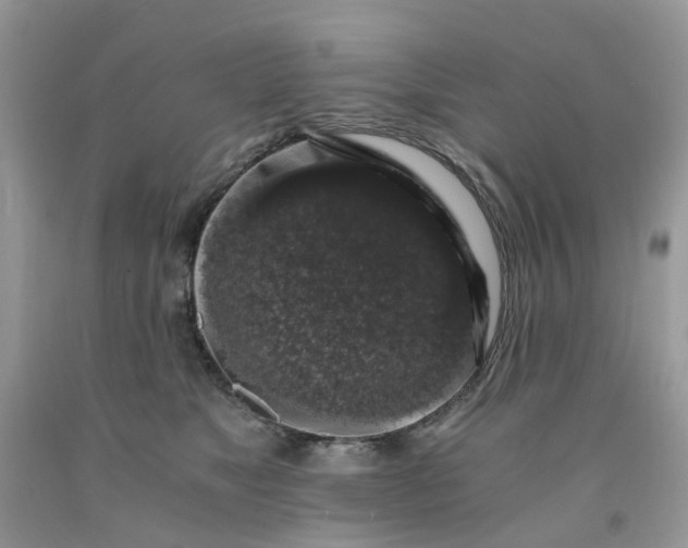 X0000091680517200709061107