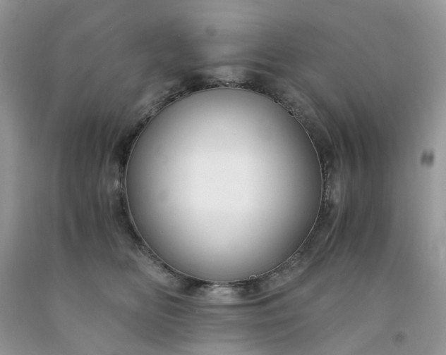 X0000091680518200709061107