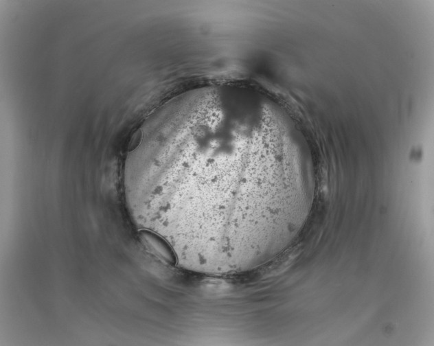 X0000091680519200709061107