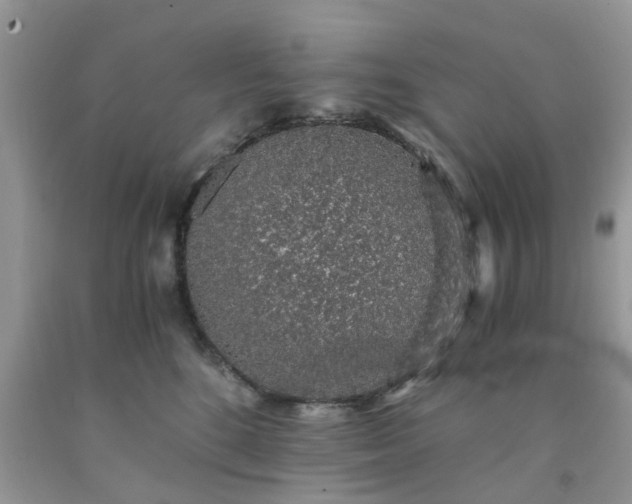 X0000091680520200709061107