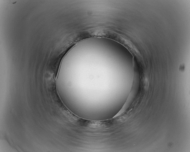 X0000091680521200709061107