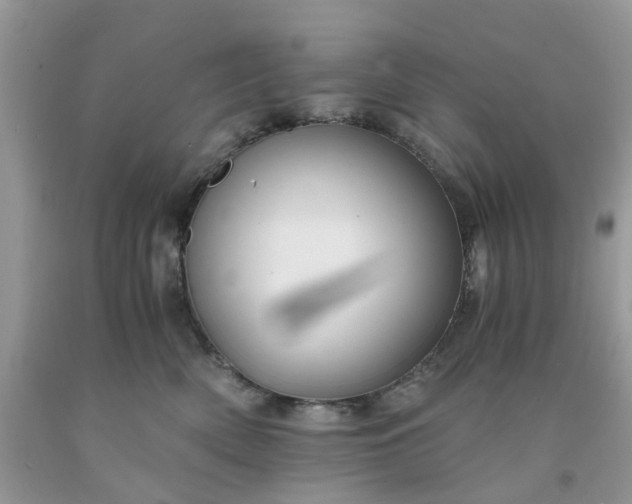 X0000091680522200709061107