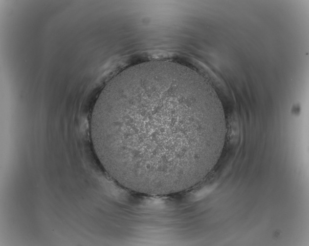 X0000091680523200709061107