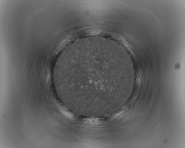 X0000091680524200709061107