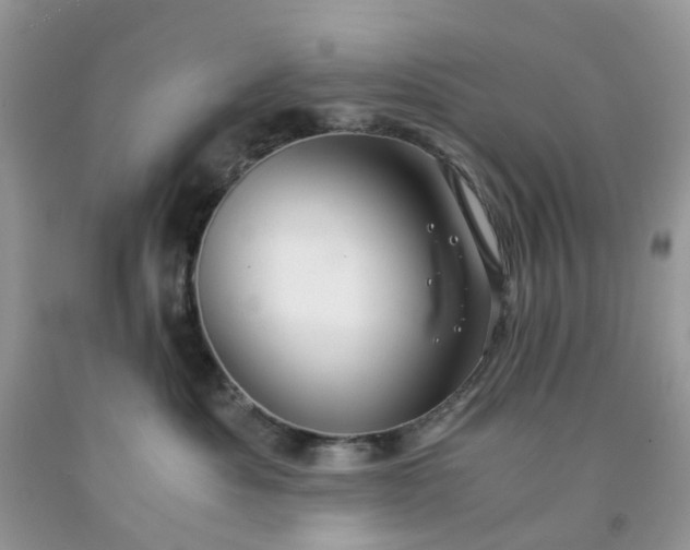 X0000091680525200709061107
