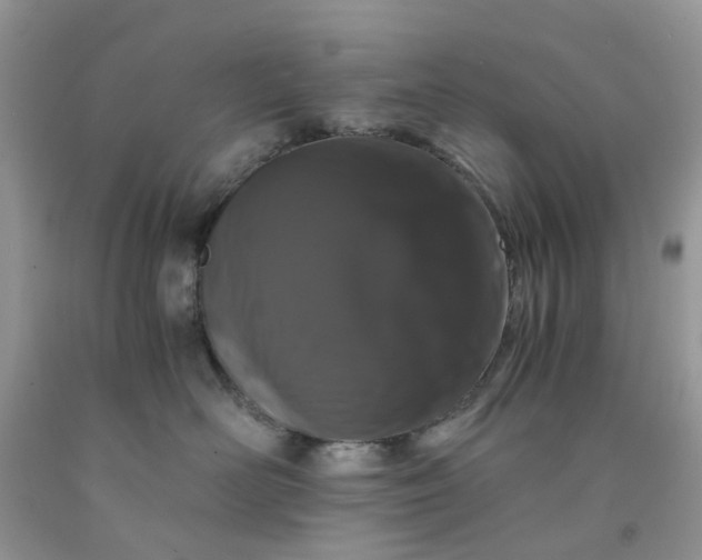 X0000091680526200709061107